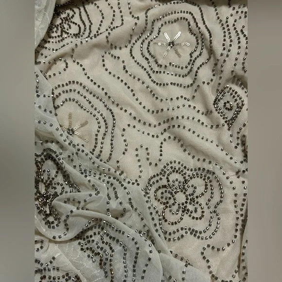 Zara Beaded Tull skirt - Picture 8 of 9